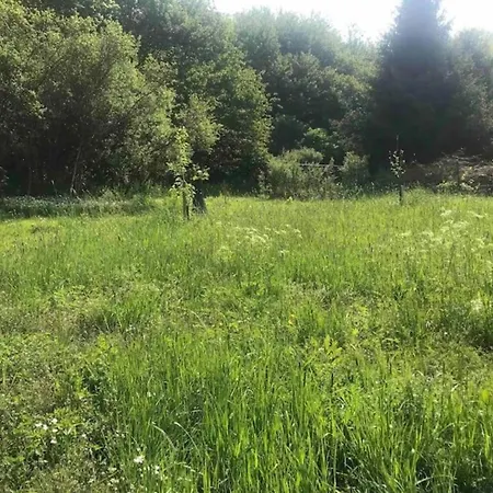 Tatil Evi Ruehlen Schneifel Escape, Cleaning Included *