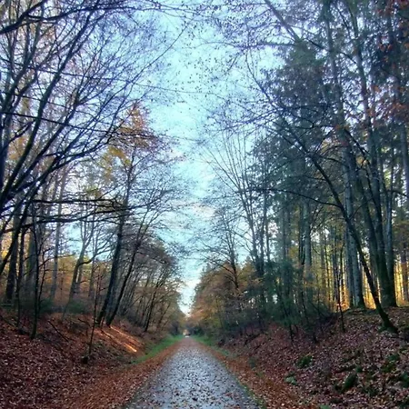 Ruehlen Schneifel Escape, Cleaning Included *