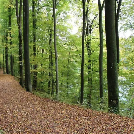Tatil Evi Ruehlen Schneifel Escape, Cleaning Included *