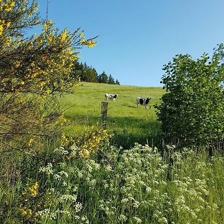 Ruehlen Schneifel Escape, Cleaning Included Tatil Evi Auw bei Prum